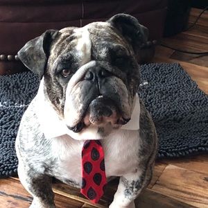 Meet your Posher, Jenandjaida